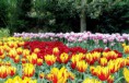 /album/galeria-de-fotos-holanda/a1185501-9110-ga-jpg/