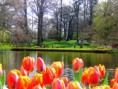 /album/galeria-de-fotos-holanda/holanda-jpg/