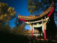 /album/galeria-de-fotos-china/a3977393-zurique-jardim-chines-turismo-224-298-jpg/