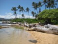 /album/galeria-de-fotos-havai/kapaa-jpg/